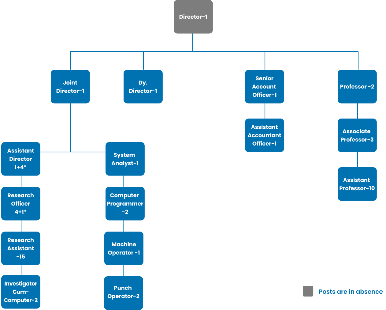 Organization Chart